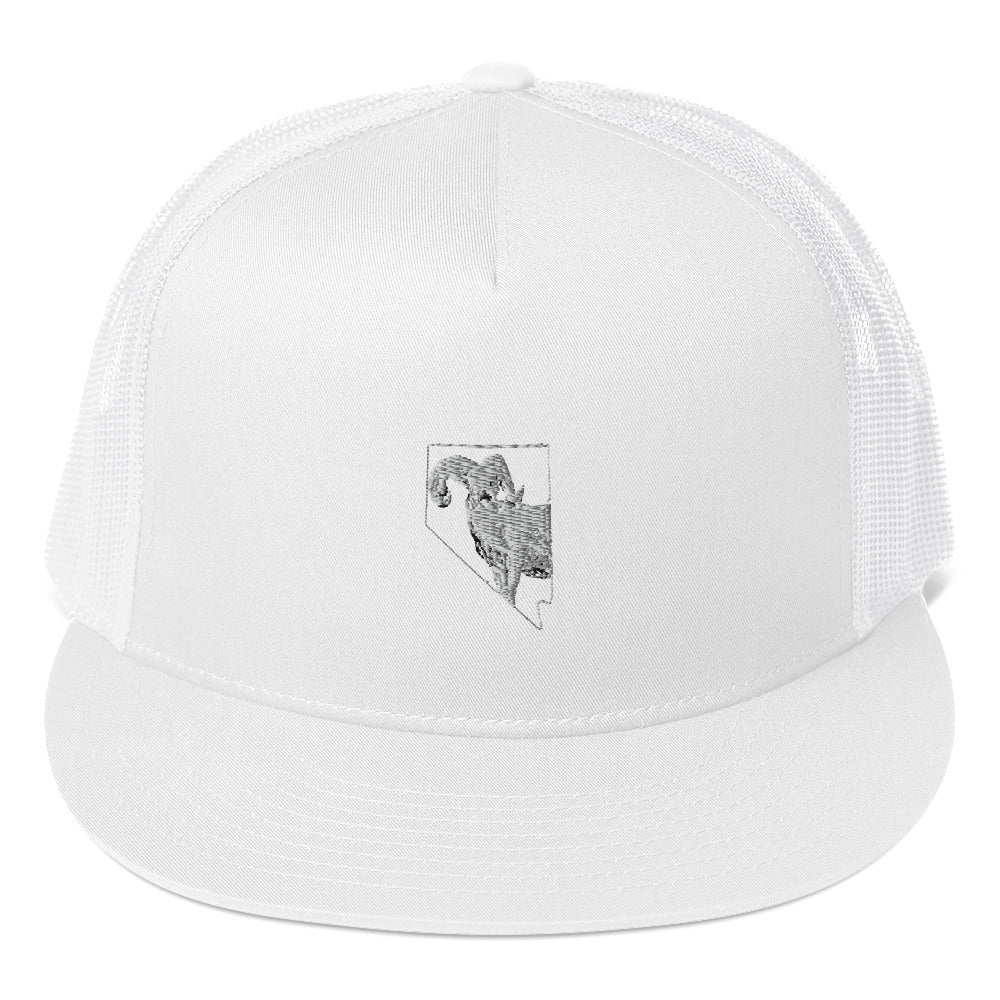 Pinenut Hunting and Fishing Co SnapbackHats